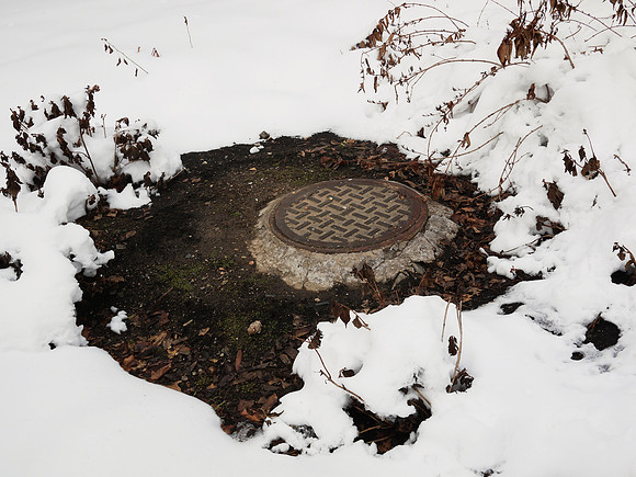 Manhole cover, Theodore Roosevelt Park