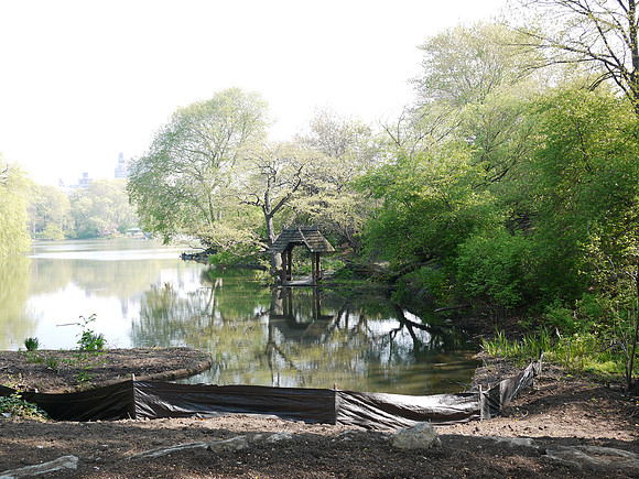 Lower reach of The Lake, Central Park