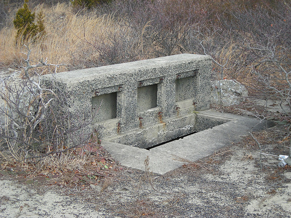 DSCN4809