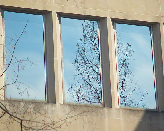 Postmodern Tree