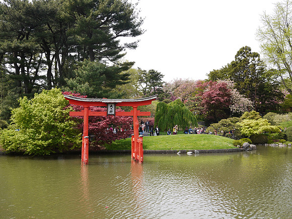Japanese Garden
