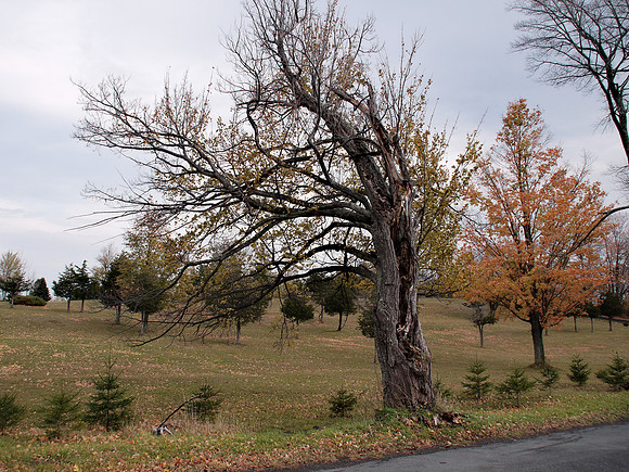 Beshroner Road, Greene County NY