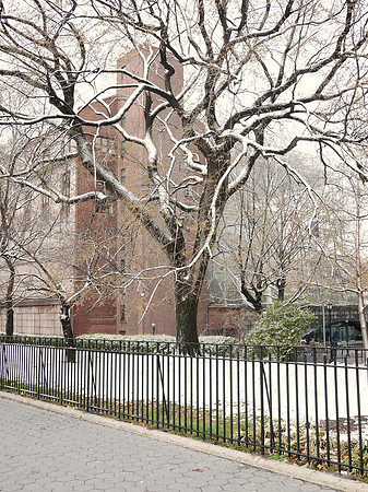 Early Spring snow, Museum of Natural History
