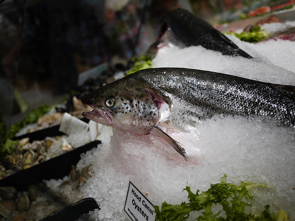 At a fishmonger's, Grand Central Station