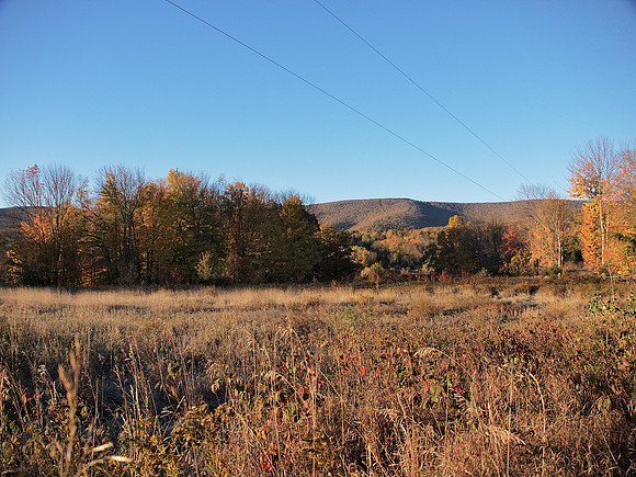 On the Margus farm, Prattsville NY