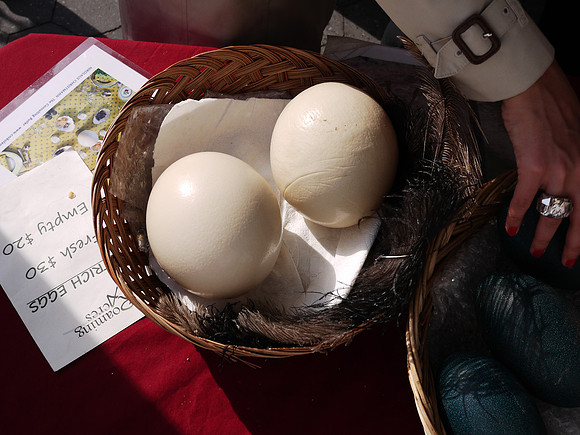 Ostrich eggs, Union Square Greenmarket