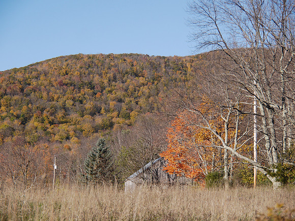 Prattsville, NY