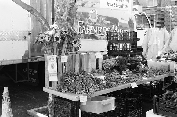 St. Stephen of Hungary greenmarket