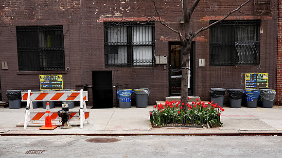 East 81st Street
