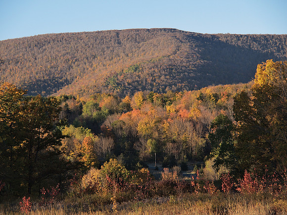 Bearpen Mountain