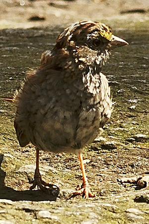 DSC03743