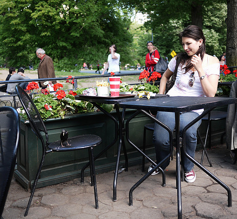 Lunch for two, Loeb Boat Basin Cafe