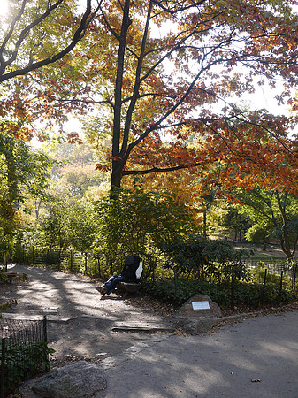 Central Park