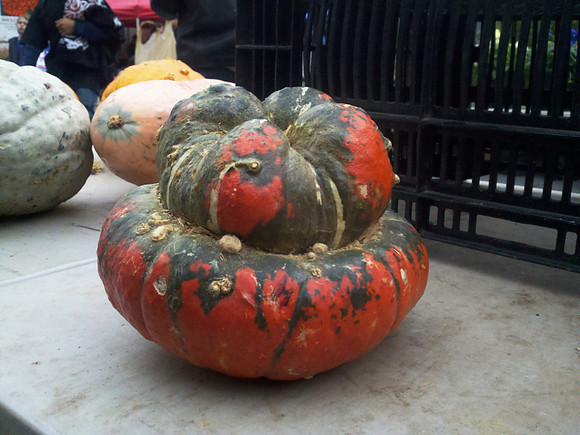 Squash, Union Square Greenmarket