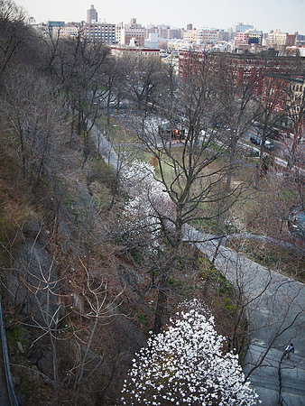 Morningside Park