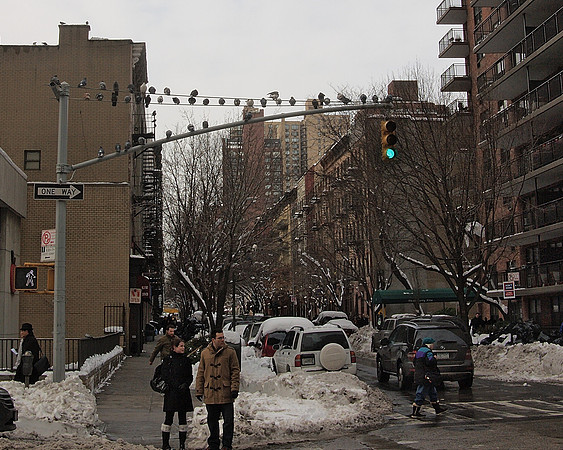 East 81st Street, Yorkville