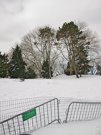 Cedar Hill after the blizzard