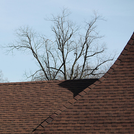 Roof, NY Botanical Garden train station
