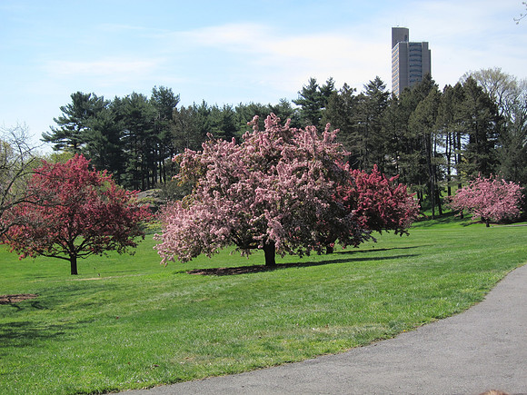 NY Botanical Garden