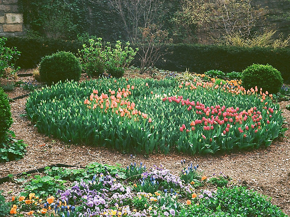 Carl Schurz Park