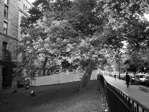 Outside the Museum of Natural History