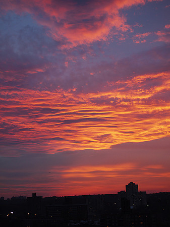 Bronx sunset