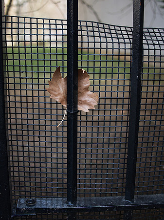 the prisoner of second avenue