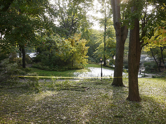 Central Park