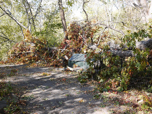 The Point, Central Park, a few days after Hurricane Sandy