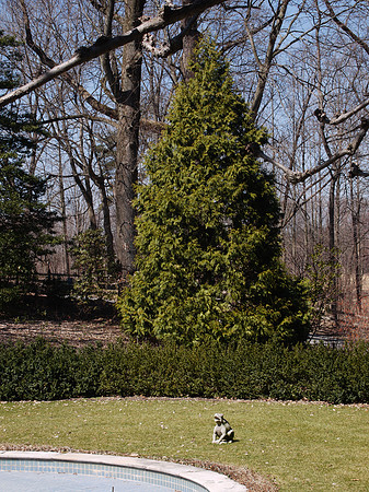 Longwood (Italian Water Garden)