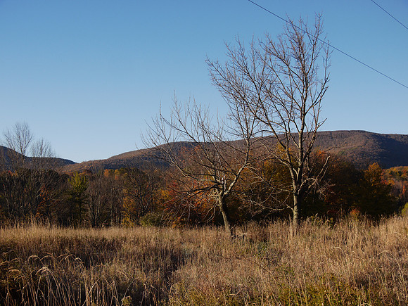 Prattsville, NY