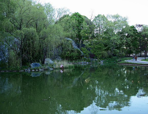 Pond, Morningside Park