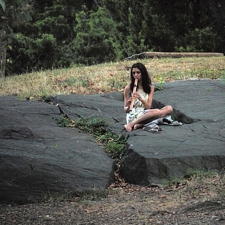 Cedar Hill, Central Park