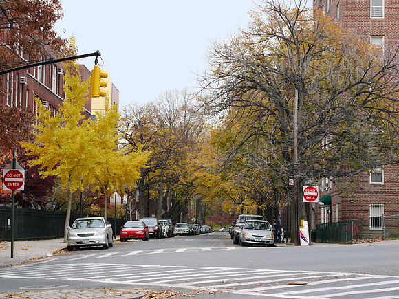Sedgwick Avenue, Bronx NY