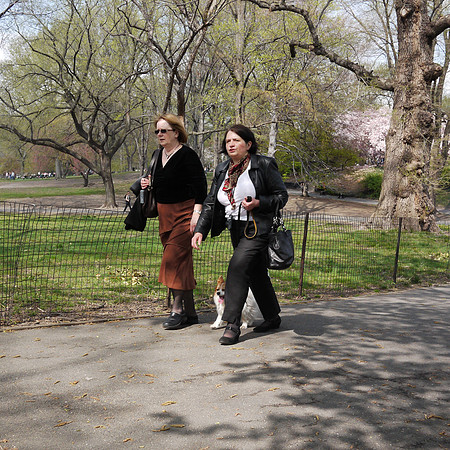 A spring Sunday in Central Park