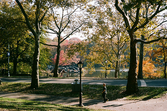 The Lake, Central Park, Autumn