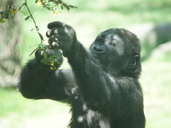 snack time