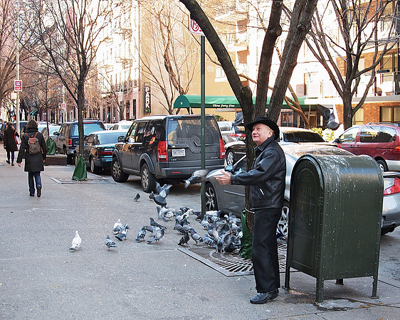 The Pigeon Feeder