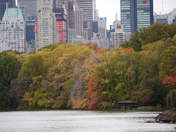 The Lake, Central Park