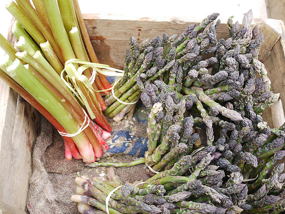 Asapragus at a greenmarket