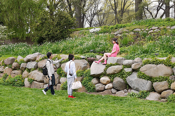 Hanami