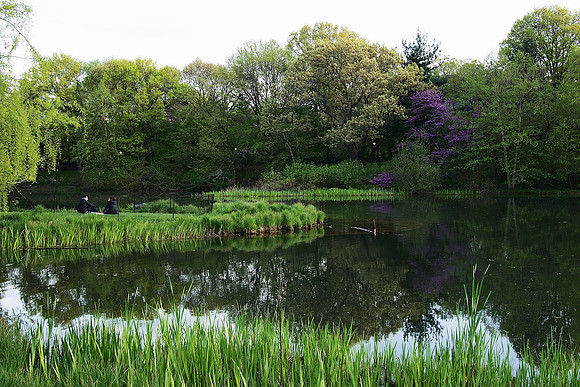 Turtle Pond