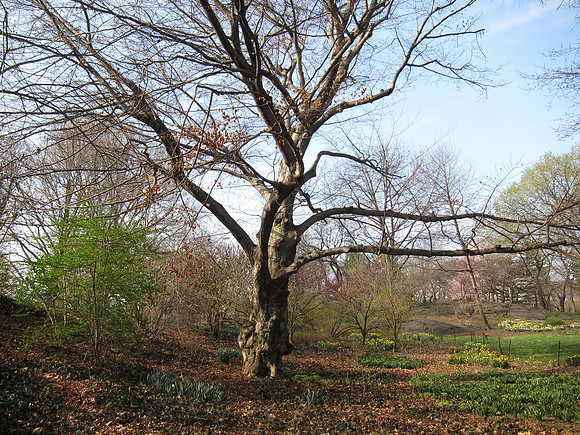 West of Greywacke