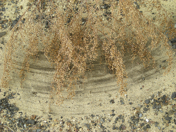 erosion at work