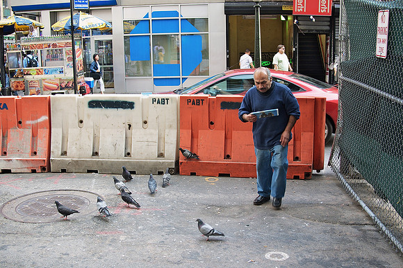 Done  feeding the pigeons