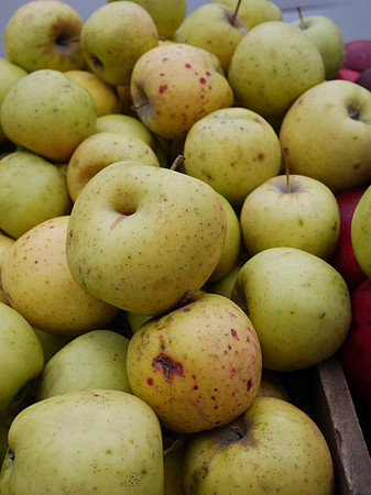 Organic Golden Delicious Apples