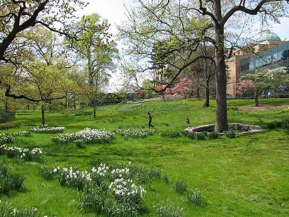 New York Botanical Garden
