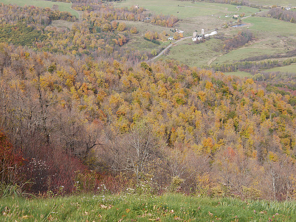 View from Mt. Utsayantha