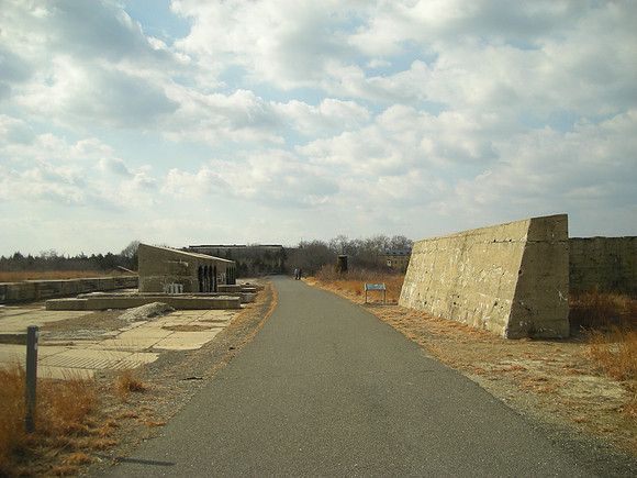 bleak road