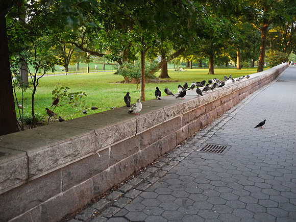 Riverside Drive